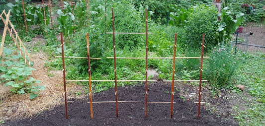 Plant Play Ground - Hardwood Trellis, for Active Plants