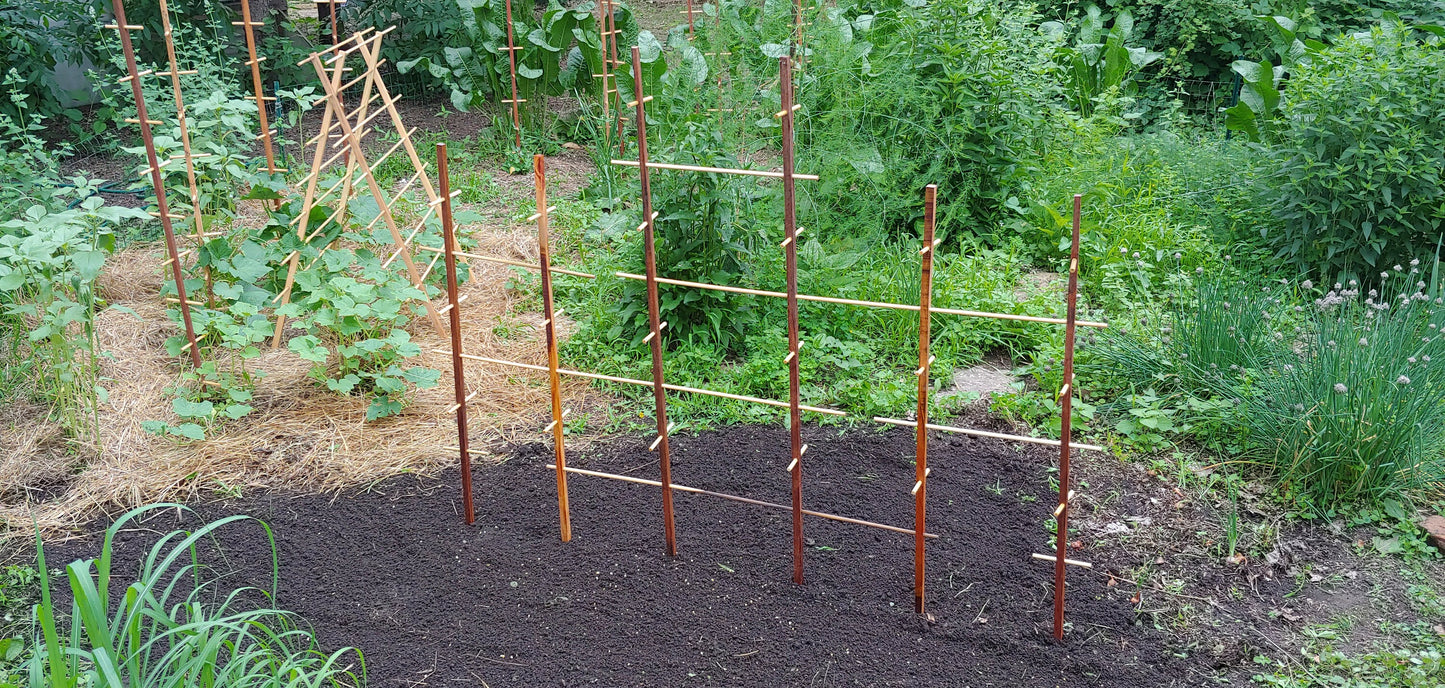 Plant Play Ground - Hardwood Trellis, for Active Plants