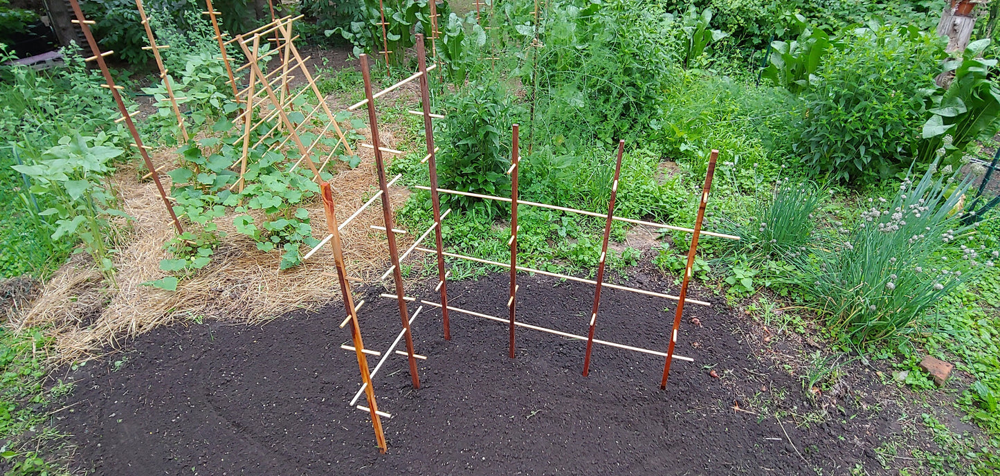 Plant Play Ground - Hardwood Trellis, for Active Plants