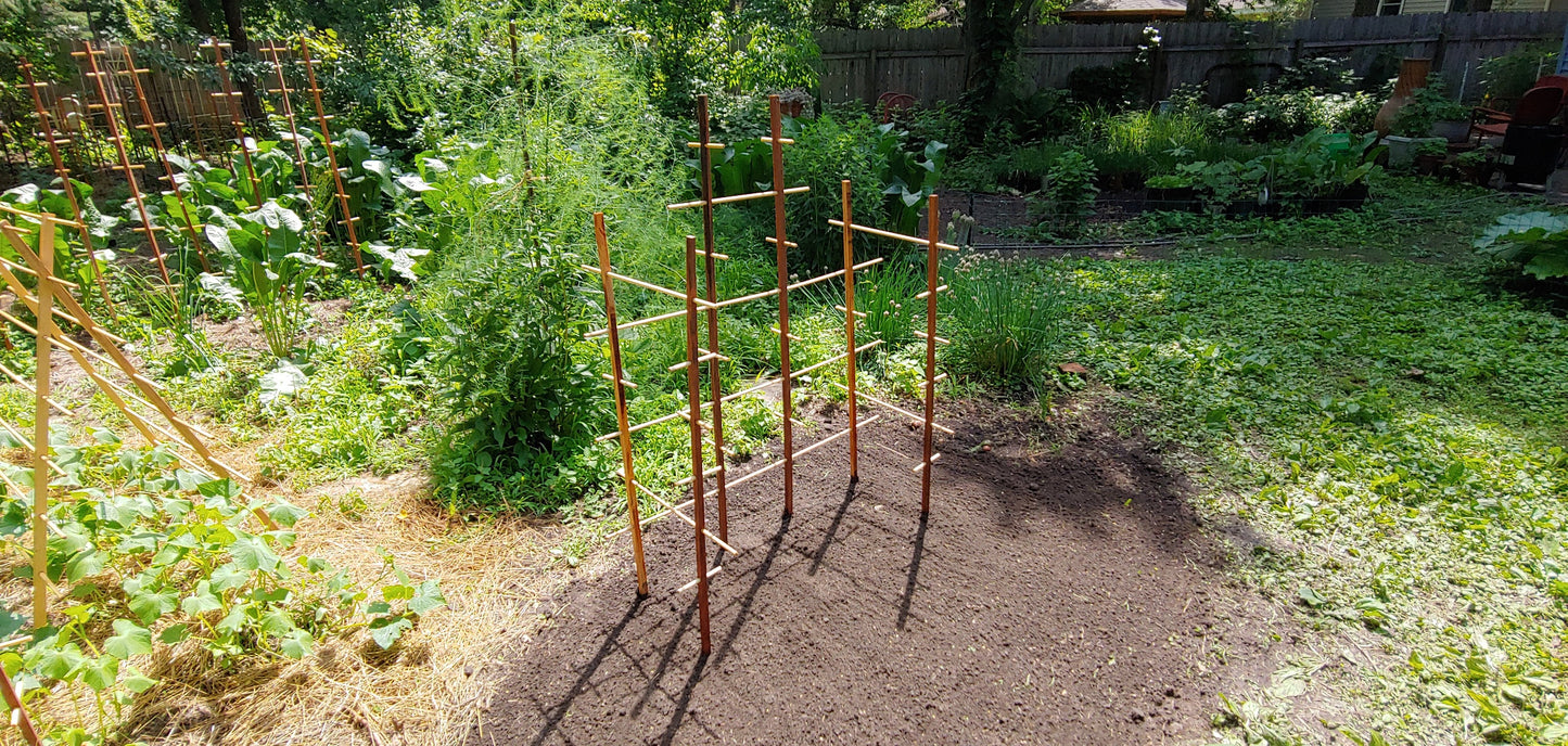 Plant Play Ground - Hardwood Trellis, for Active Plants