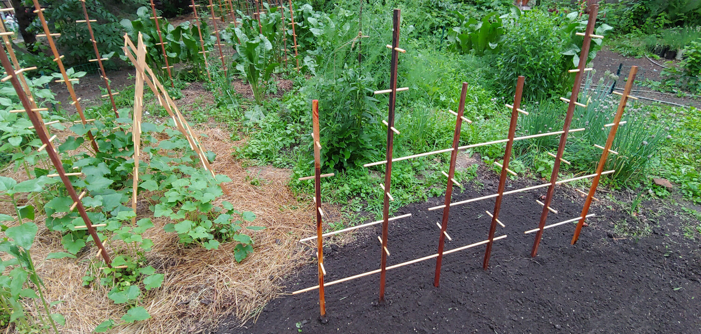 Plant Play Ground - Hardwood Trellis, for Active Plants