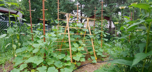 Hardwood Trellis - A Frame, 4ft and 6ft Plant Playground, Fun for Plants & Family!