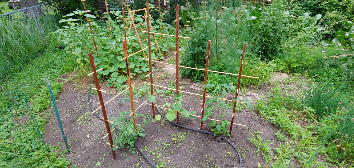 Plant Play Ground - Hardwood Trellis, for Active Plants